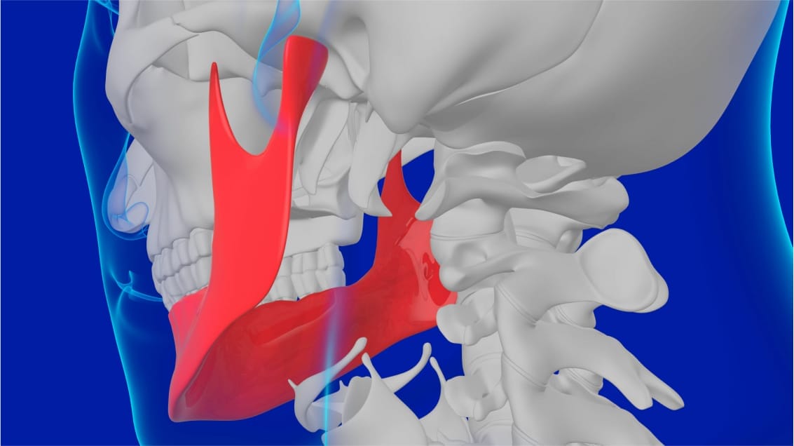 skeletal image of tmj triggers